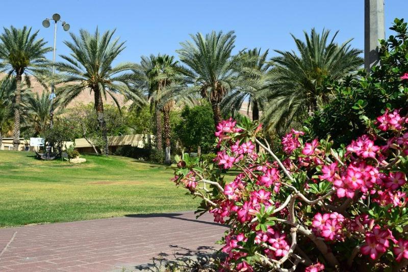 כפר נופש קלי"ה ים המלח Hotel Kalia Екстериор снимка
