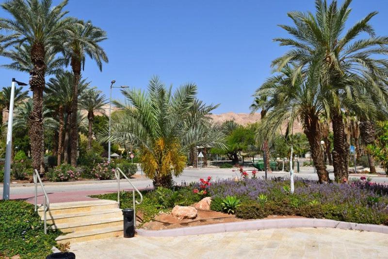 כפר נופש קלי"ה ים המלח Hotel Kalia Екстериор снимка