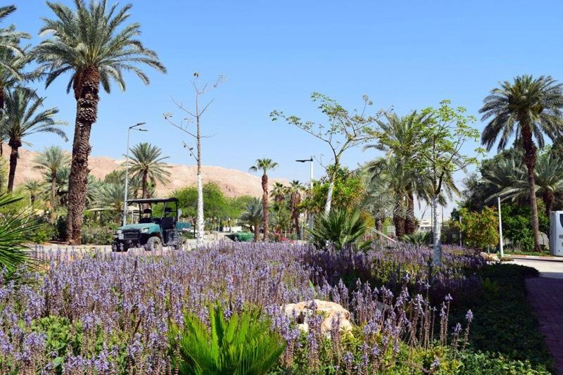 כפר נופש קלי"ה ים המלח Hotel Kalia Екстериор снимка